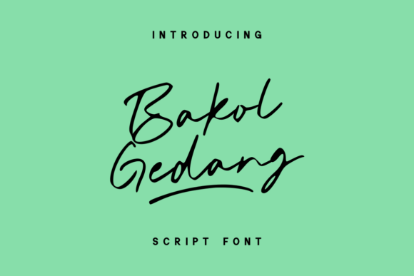 Bakol Gedang: A Quirky Script Amp Font for Modern Design