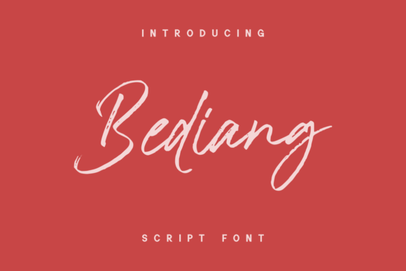 Bediang: A Quirky Script Amp Font for Modern Blogs