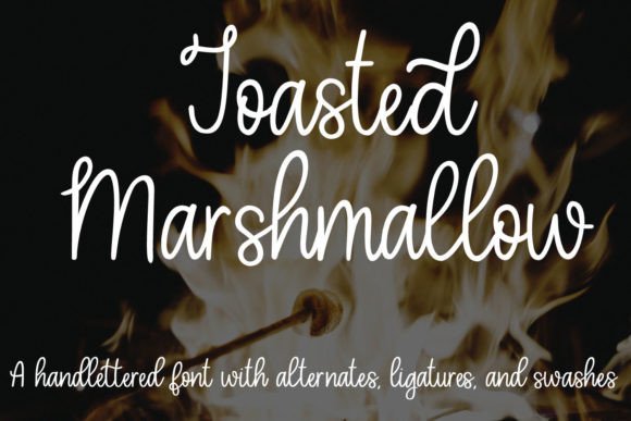Toasted Marshmallow: Script Amp Fonts for Branding
